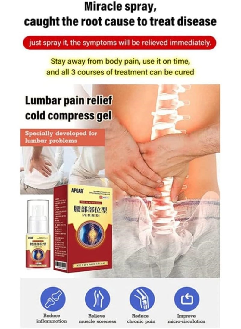 Apgar lumbar spine cold gel spray