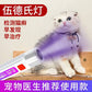 Handheld LED Money Detector