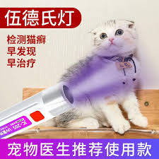 Handheld LED Money Detector